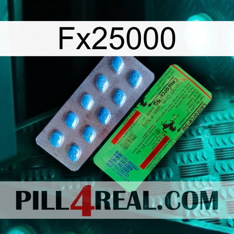 Fx25000 new03
